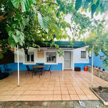 Estudio Adosado Acogedor Con Jardin, Barbacoa Y Parking Privado Alicante Exterior photo