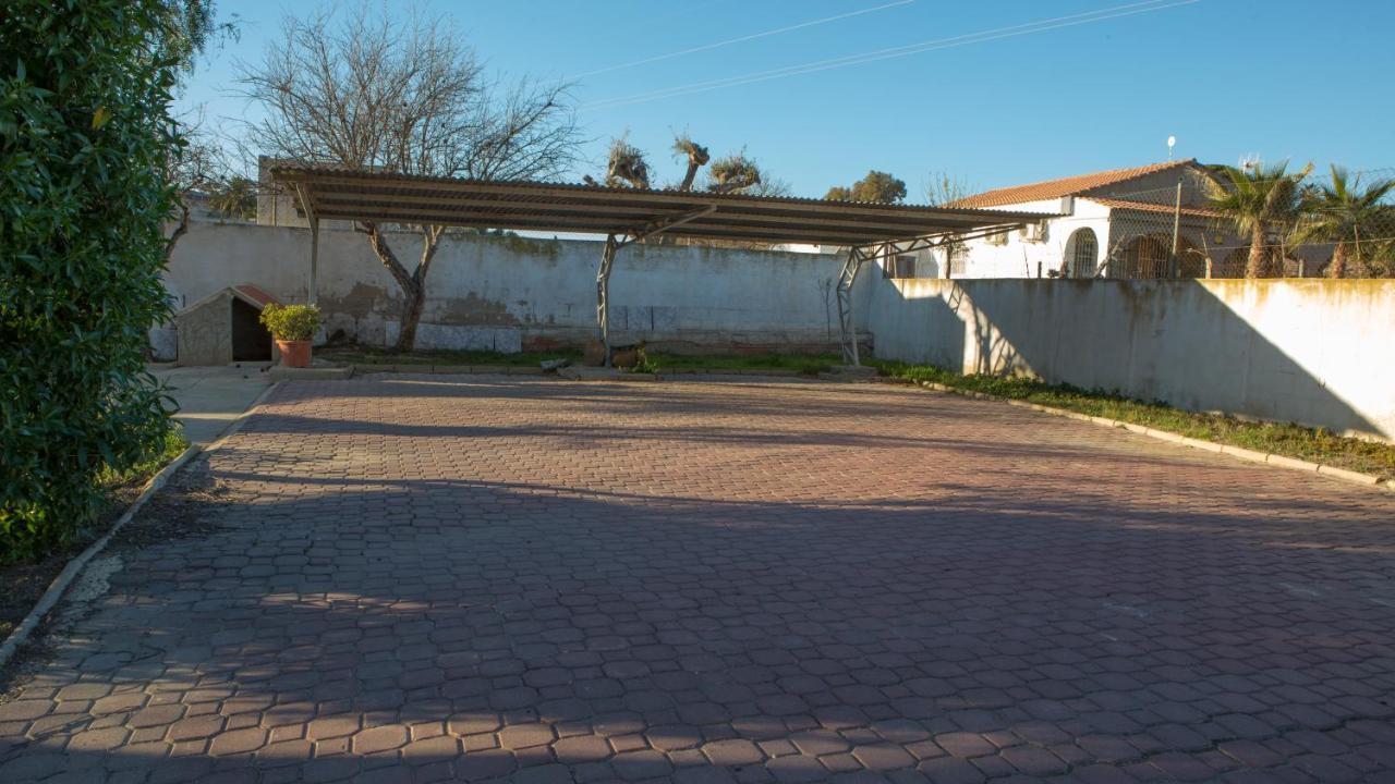 Estudio Adosado Acogedor Con Jardin, Barbacoa Y Parking Privado Alicante Exterior photo