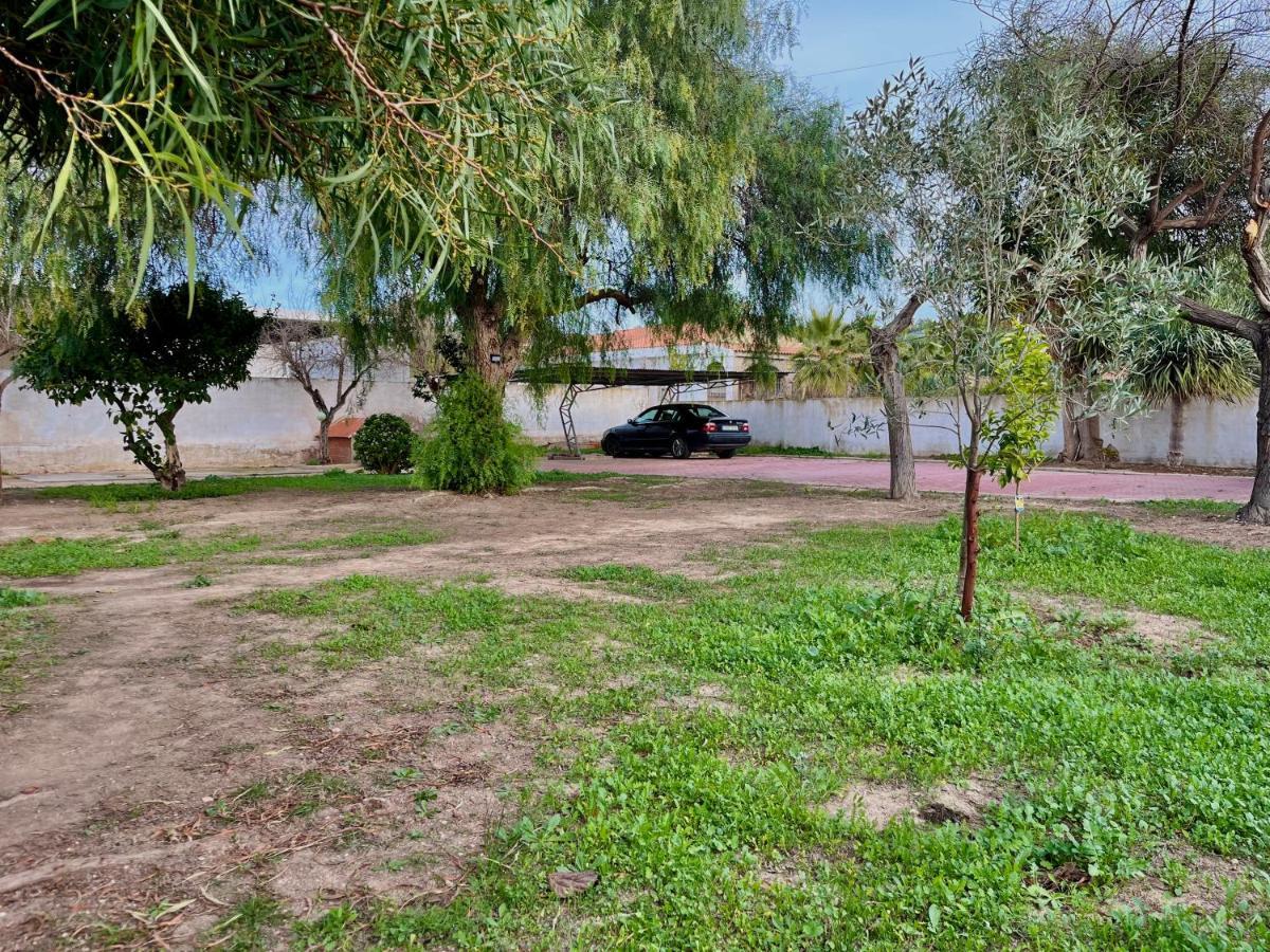 Estudio Adosado Acogedor Con Jardin, Barbacoa Y Parking Privado Alicante Exterior photo